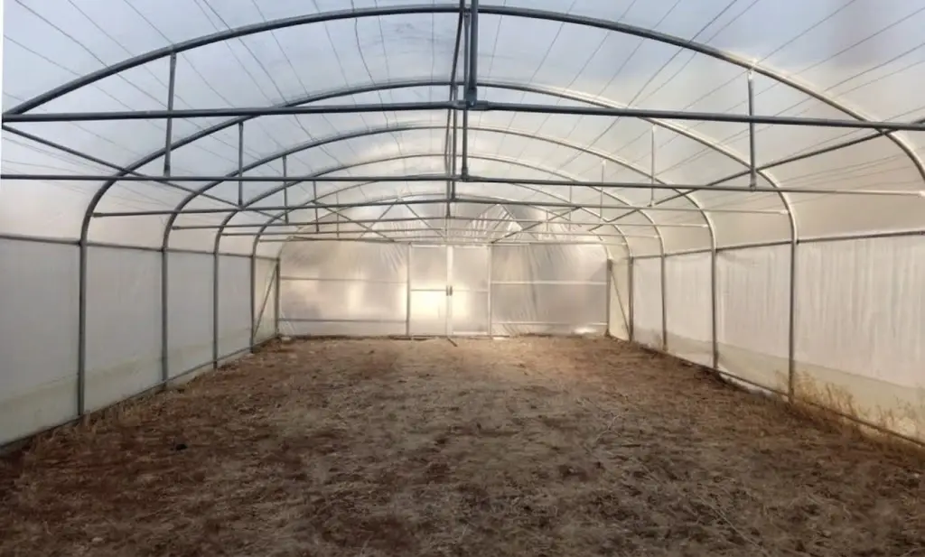 HIGH TUNNEL