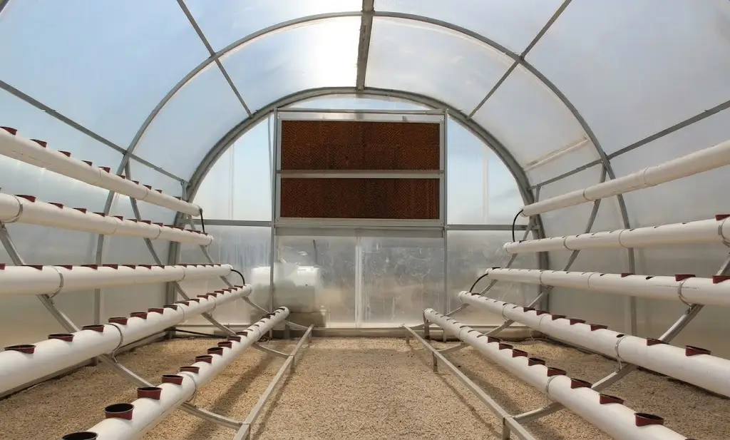 HYDROPONICS 