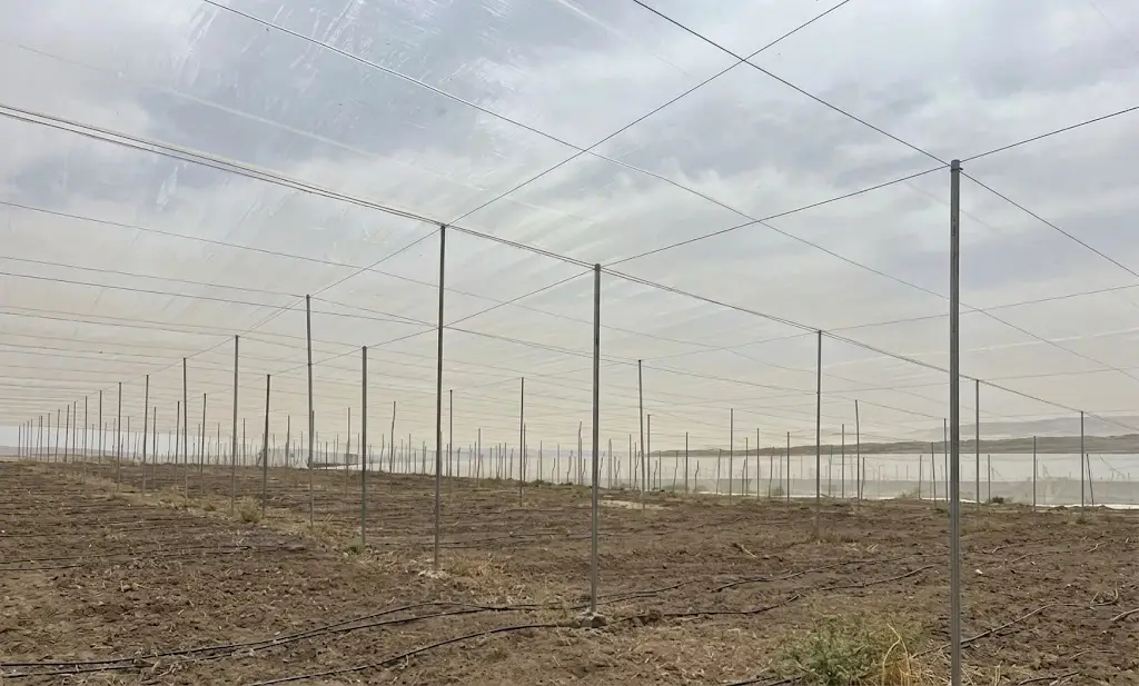 NET-HOUSES