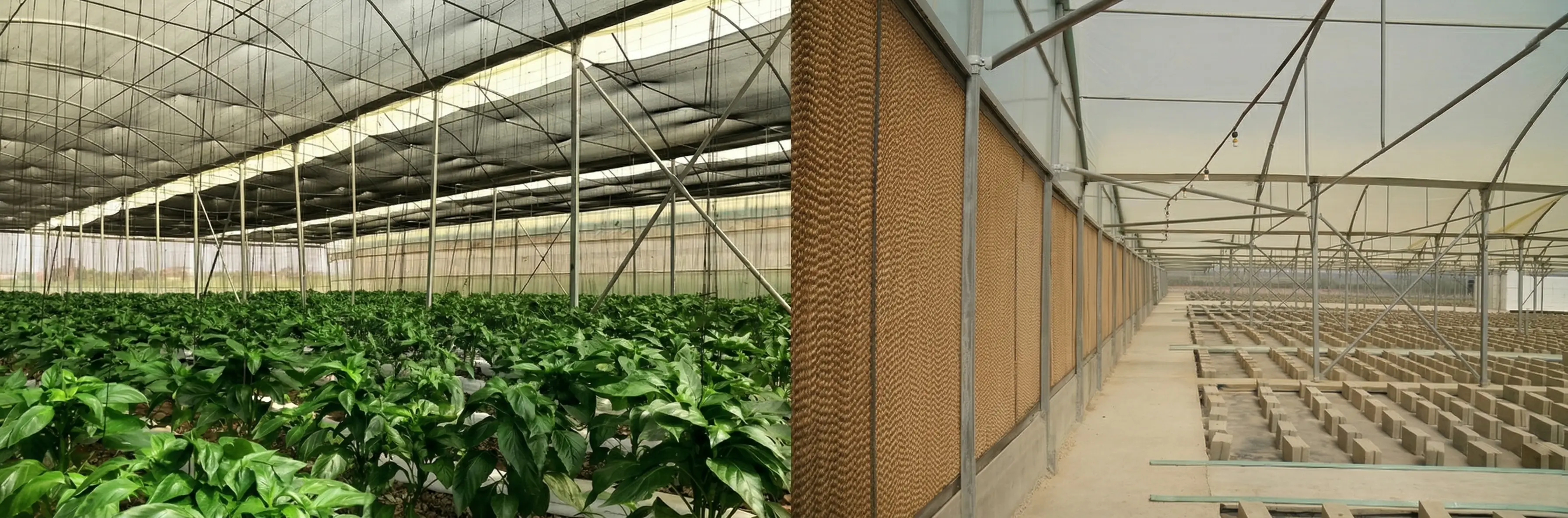proj_one